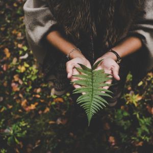 Dengarkan lagu Going Under nyanyian SPA dengan lirik