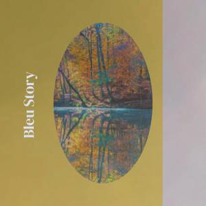 Album Bleu Story from Various