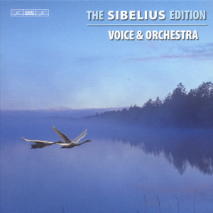 Listen to Tulen Synty, Op. 32 (Revised Version) song with lyrics from Tommi Hakala