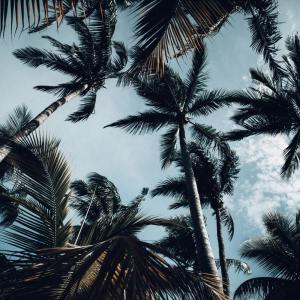 ดาวน์โหลดและฟังเพลง Spa พร้อมเนื้อเพลงจาก Spa Music Relaxation