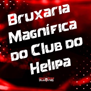 DJ LK DA VB的專輯Bruxaria Magnífica do Club do Helipa (Explicit)