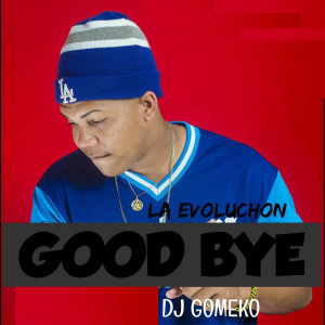 ดาวน์โหลดและฟังเพลง Good Bye พร้อมเนื้อเพลงจาก Dj Gomeko