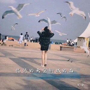 Album 临沂的天空聊城的雨 oleh 久荣