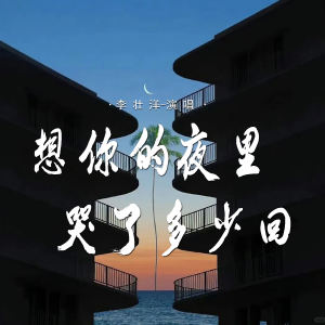 Album 想你的夜里哭了多少回 from 