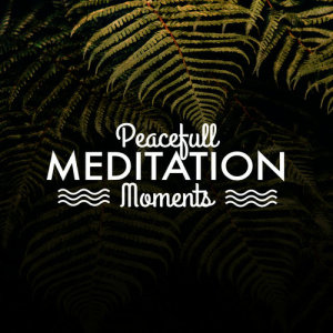 ดาวน์โหลดและฟังเพลง Apollo พร้อมเนื้อเพลงจาก Peaceful Meditation Music