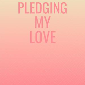 Listen to Pledging My Love song with lyrics from Mimi Martel