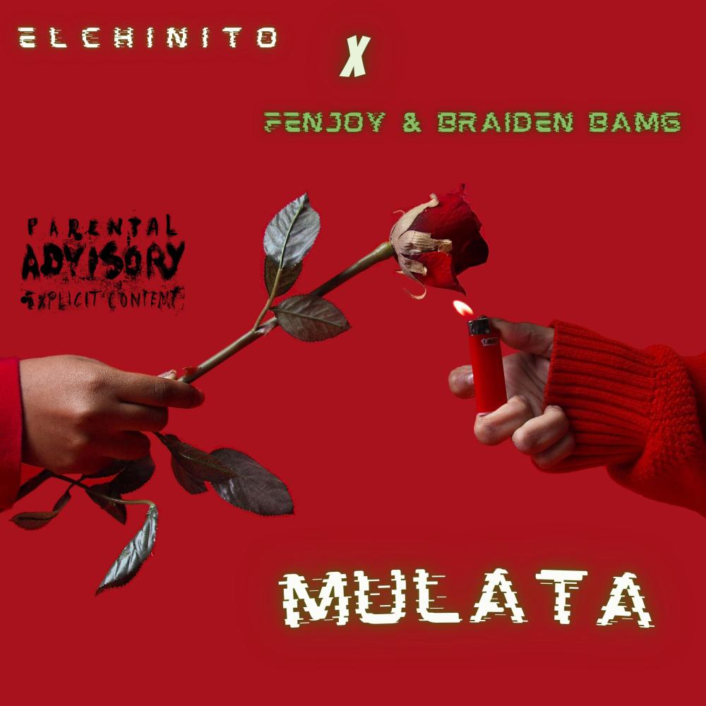 Mulata (feat. Fenjoy & Braiden Bamg) (Explicit)