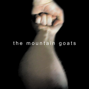 ดาวน์โหลดและฟังเพลง This Year พร้อมเนื้อเพลงจาก The Mountain Goats