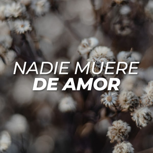 Various的專輯Nadie muere de amor