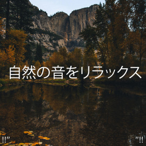 Dengarkan Relaxing Music Morning Nature lagu dari Yoga dengan lirik