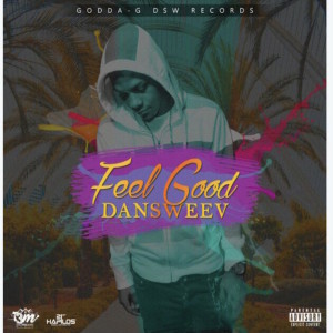 收聽Dansweev的Feel Good歌詞歌曲