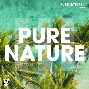 Various Artists的专辑Pure Nature III