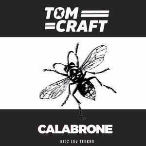 Listen to High Fidelity song with lyrics from Tomcraft