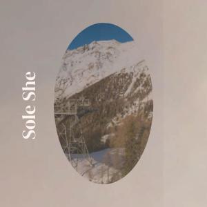 Listen to Sole She song with lyrics from Haron Osky
