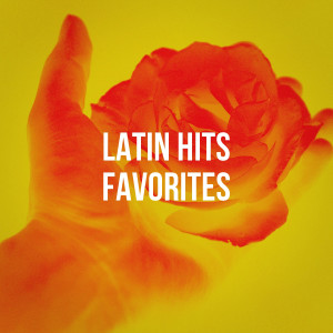 Romantico Latino的专辑Latin Hits Favorites