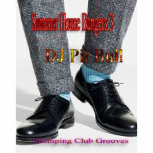 ดาวน์โหลดและฟังเพลง Stomping Club Grooves พร้อมเนื้อเพลงจาก DJ Pit Bull
