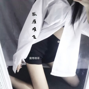 Dengarkan lagu 孤雁难飞 (伴奏) nyanyian 魔尊楠哥 dengan lirik