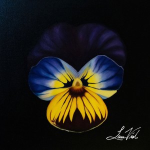 收聽Lars Viola的Hydroplane (feat. TANSU) (Explicit)歌詞歌曲