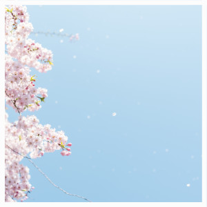 Album A Breeze Of Happiness from TapeRtrn