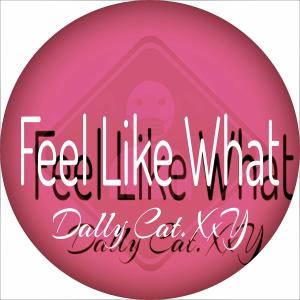 Listen to Feel Like What (Instrumental) song with lyrics from Dally Cat.XxY