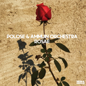 Polose的专辑Rosae