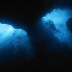 Album whales from ashess (Denis Khmyrov Alexandrovich)