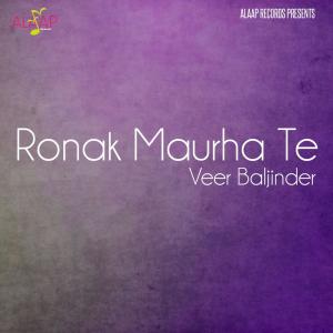 ดาวน์โหลดและฟังเพลง Kehrha Tera Pind พร้อมเนื้อเพลงจาก Veer Baljinder