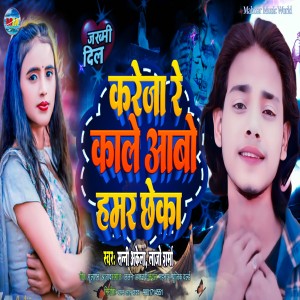 Album Kareja Re Kale Aabo Hamar Chheka from Sunny Akela