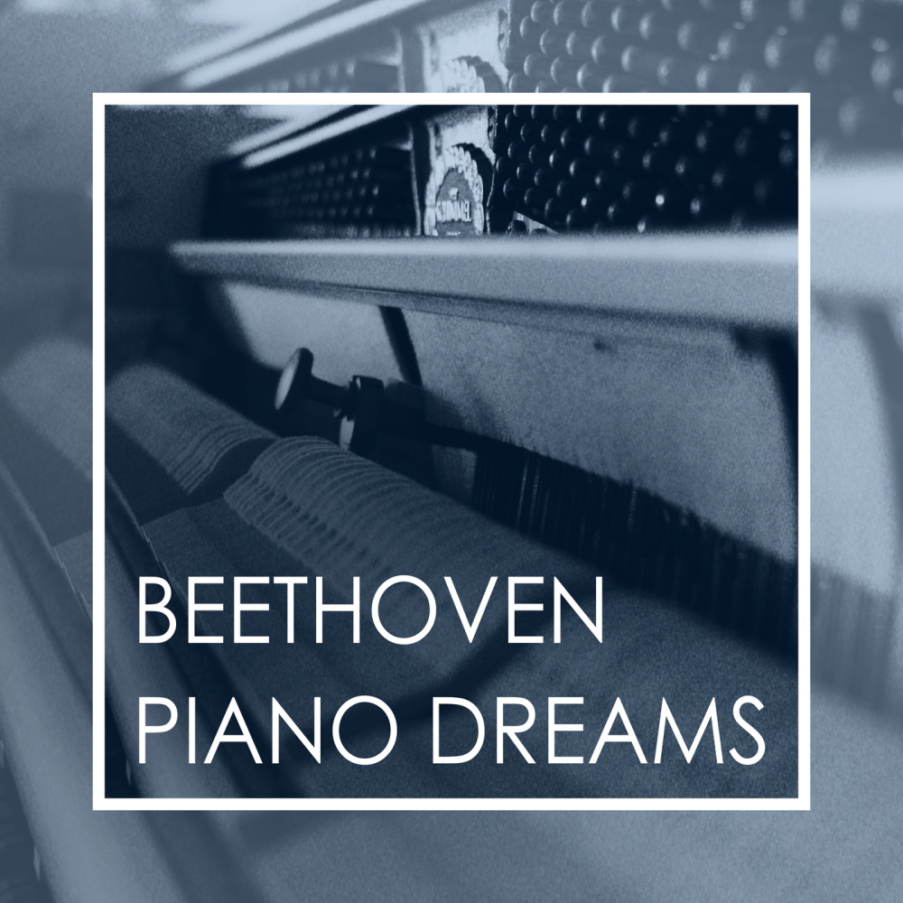 Beethoven: Piano Trio No. 4 in B-Flat Major, Op. 11 - III. Tema con Variazioni. Andante