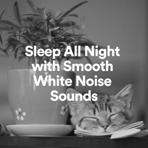 收聽Bruit Blanc的Sleep All Night Smooth Sounds, Pt. 2歌詞歌曲