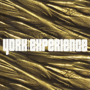ดาวน์โหลดและฟังเพลง The Awakening (Quake Remix) พร้อมเนื้อเพลงจาก York