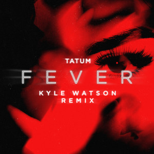 Kyle Watson的专辑Fever (Kyle Watson Remix)