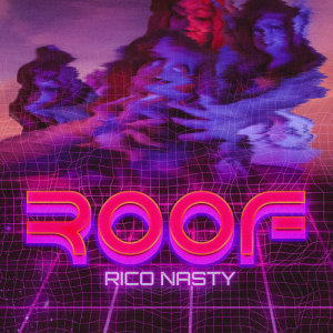 收聽Rico Nasty的Roof (Explicit)歌詞歌曲