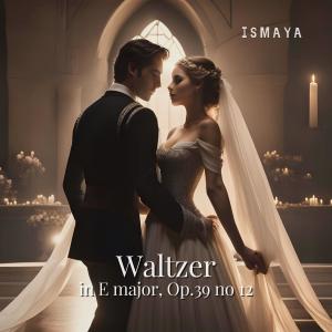 Listen to Waltzer in E major, Op.39 no 12 song with lyrics from ismaya