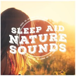 ดาวน์โหลดและฟังเพลง Quiet Meadow พร้อมเนื้อเพลงจาก Sleep Songs with Nature Sounds