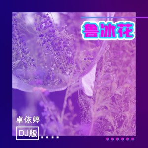 Album 鲁冰花(DJ版) oleh 卓依婷