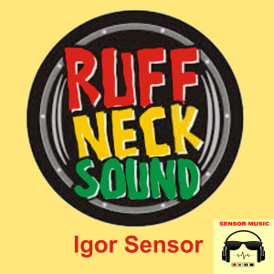 อัลบัม Ruffneck Sound ศิลปิน Igor Sensor