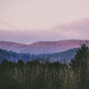 Listen to Deep Sleep State song with lyrics from Relaxing Music Therapy