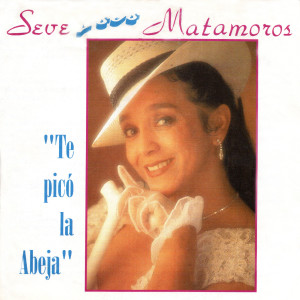 收聽Seve Matamoros的Beso Discreto歌詞歌曲