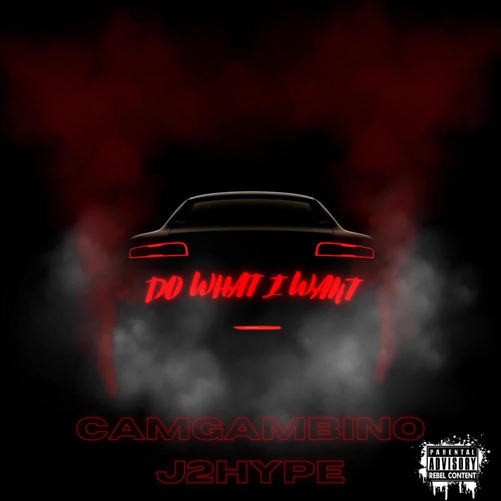 Do What I Want (feat. J2Hype) (Explicit)