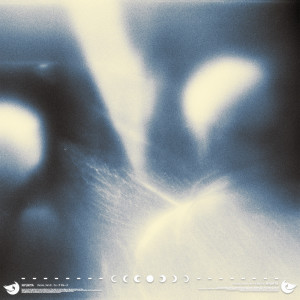 Listen to dream catalogue song with lyrics from sunsurfer