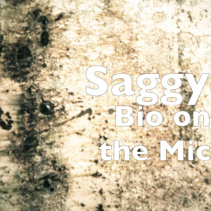 Dengarkan lagu Bio on the Mic (Explicit) nyanyian SAGGY dengan lirik