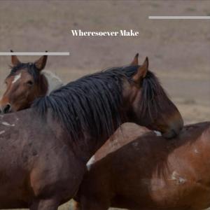 Listen to Wheresoever Make song with lyrics from Altina Doon