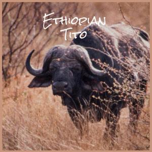 Various的专辑Ethiopian Tito