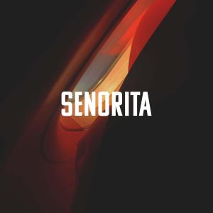 收聽B.W.Ø的SENORITA歌詞歌曲