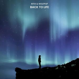 Album Back to life from 