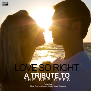 ดาวน์โหลดและฟังเพลง Love So Right พร้อมเนื้อเพลงจาก Ameritz Tribute Club