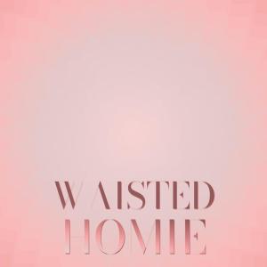 Various Artists的專輯Waisted Homie