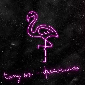 Dengarkan lagu Фламинго nyanyian Tony Oz dengan lirik