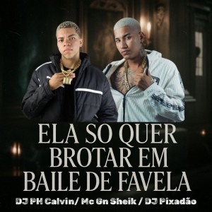 Album ELA SO QUER BROTAR EM BAILE DE FAVELA (Explicit) from MC GN SHEIK